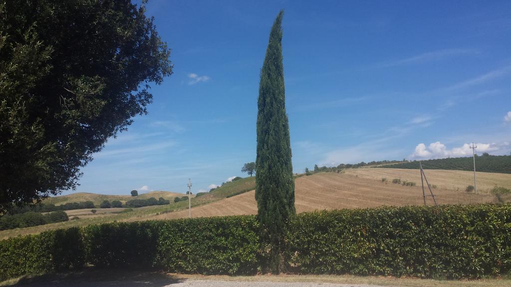 Agriturismo Podere Selvette Campagnatico Exterior foto