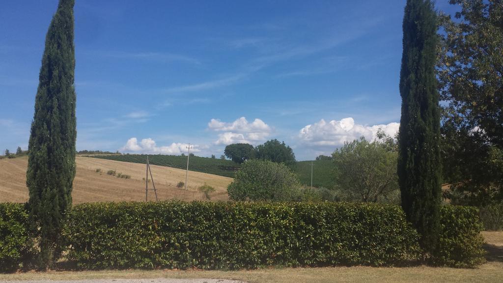 Agriturismo Podere Selvette Campagnatico Exterior foto