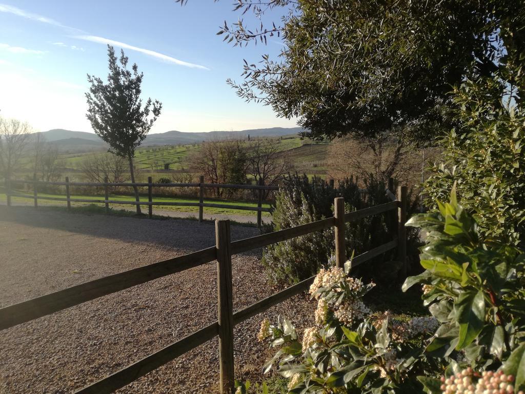 Agriturismo Podere Selvette Campagnatico Exterior foto